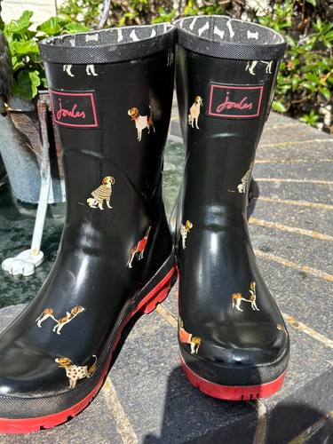 Jules calf wellington boot - , dog