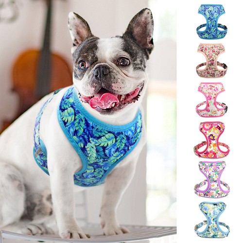 Floral printed step dog - floral,