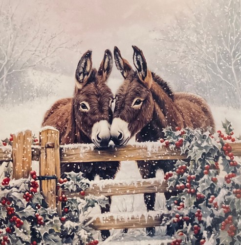 Charity christmas card - card, ~
