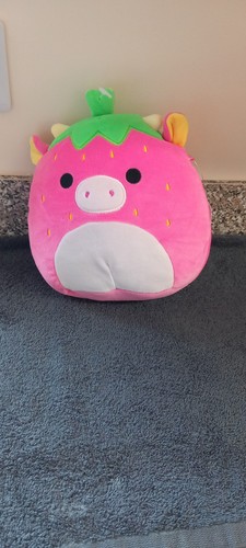 Rare squishmallow cleary - squishmallow,