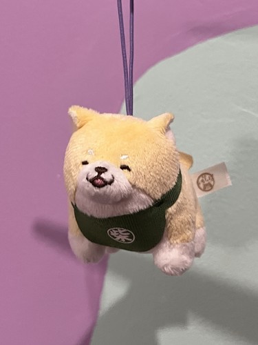 Genuine japanese mini shiba - japanese,