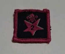 Old Logo Scout 2 year Star Award Badge 