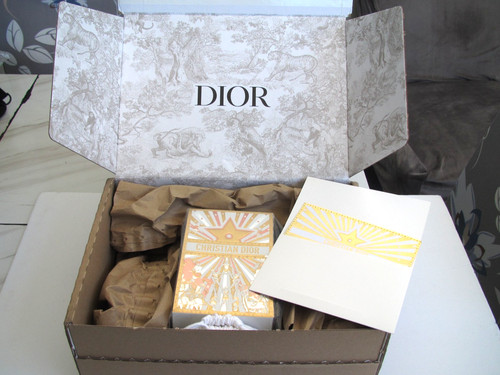 Dior 2025 platinum - dior, holiday