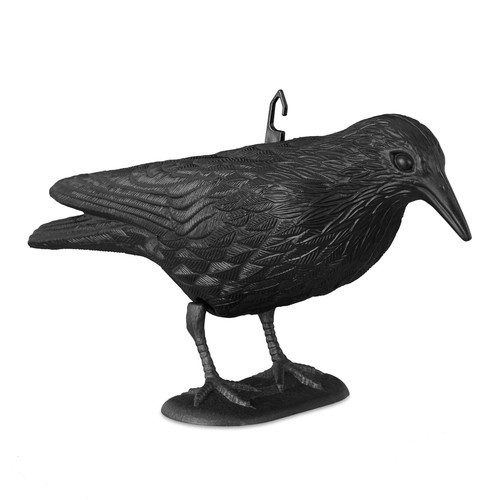 Crow bird repellent garden - crow,