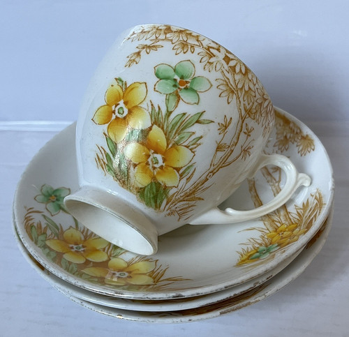 Vintage roslyn china - roslyn, set