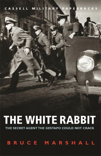 The white rabbit - ,