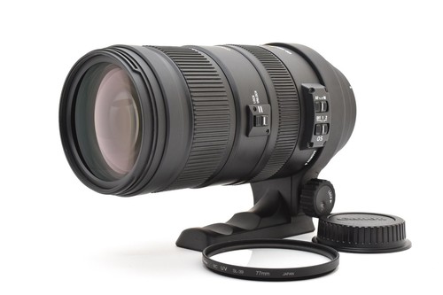 Top mint sigma - mint],