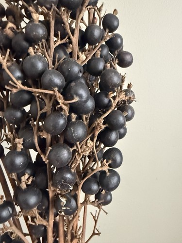 Abigail ahern dried berry - abigail,