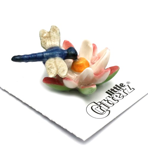 Little critterz dragonfly on - little,