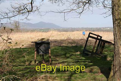 Photo 6x4 pheasant feeders - photo,