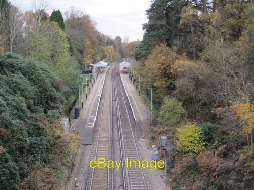 Photo 6x4 oxshott railway - oxshott,