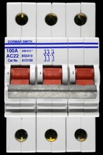DORMAN SMITH 100 AMP TRIPLE