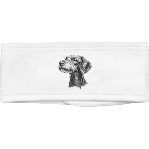 Wirehaired dachshund beauty - dachshund',