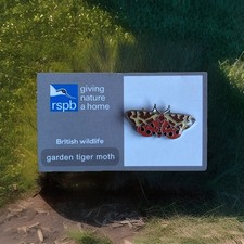 RSPB-Pin Badge  GARDEN TIGER MOTH    (*Large  Font )  Tick On Reverse