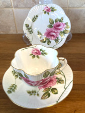 Stunning Shelley Rambler Rose