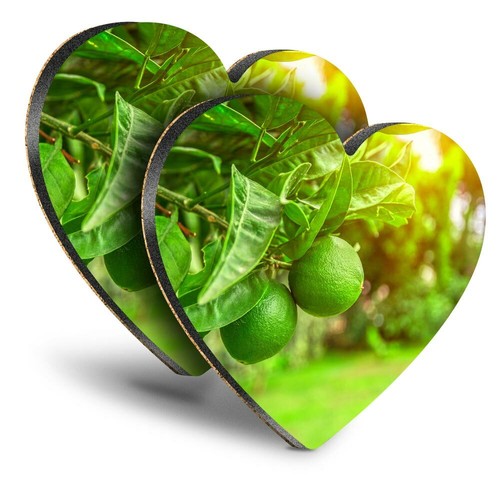 Heart mdf coasters citrus - heart,