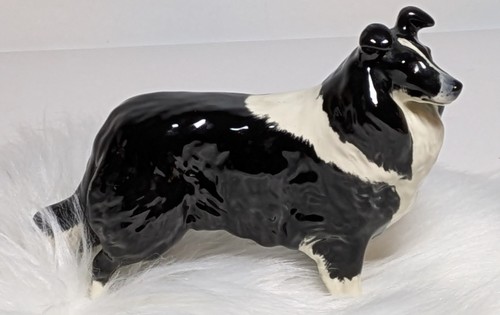 Border collie beswick - collie,