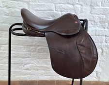 Lovely Quality Brown Falcon