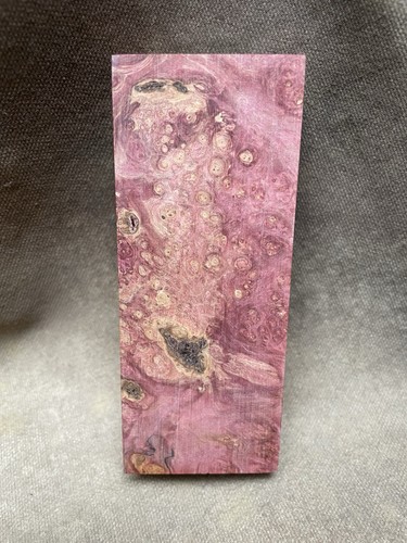 Stabilised wood maple burl - stabilised,