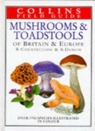 Mushrooms and toadstools - mushrooms,