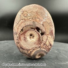 Fish Eye Jasper Palm Stone