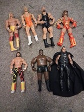 Hasbro WWE Action Figure