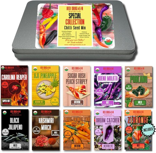 Chilli seed kit special - kit,