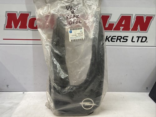 Vectra rear mudflaps - vectra, b
