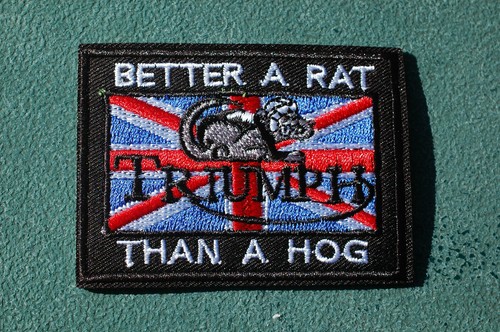 Better rat than hog - a,