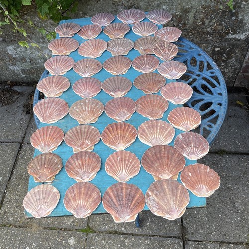 Sea worn medium sized - 40,