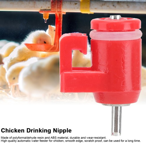 20x automatic chicken water - chicken,