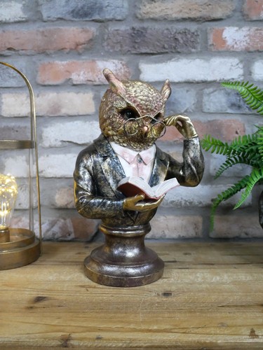 Quirky unusual owl bust - unusual,