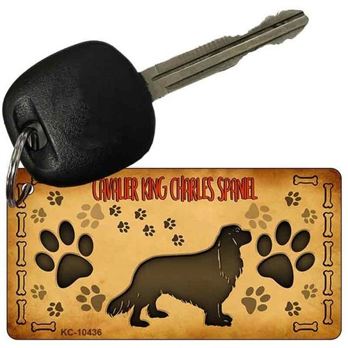 Cavalier king charles - cavalier,