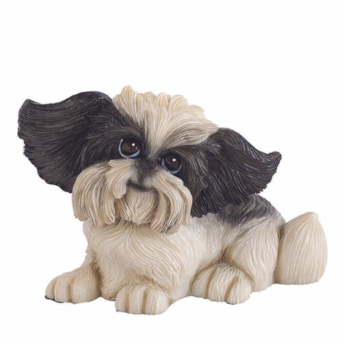 Little paws shih tzu oreo - little,