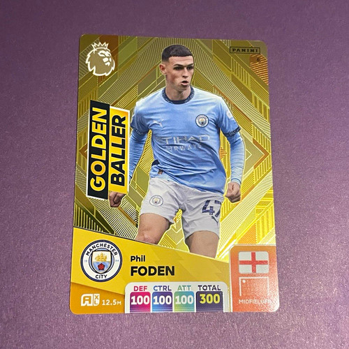 Panini adrenalyn premier - panini,
