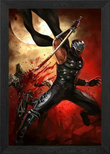 Ninja gaiden framed wall - gaiden,