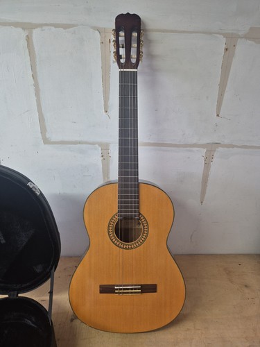 Guitar alvarez rc10 - guitar,
