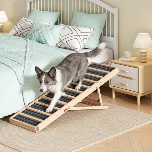 Wooden foldable dog - wooden, ramp