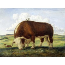Curry Ajax Hereford Bull Cow Birds Landscape Painting Canvas Art Print Poster