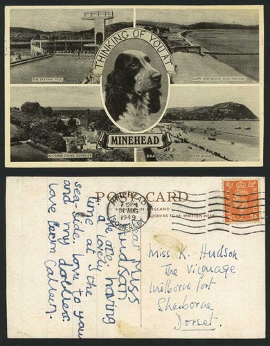 Minehead 1949 postcard dog - minehead,