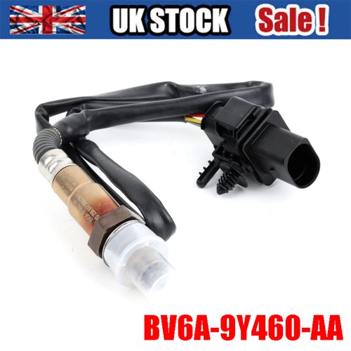 Oxygen sensor for - oxygen,