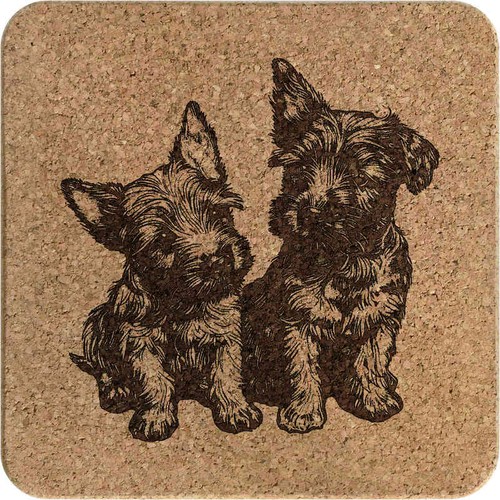Scottish terrier puppies - terrier, puppies'