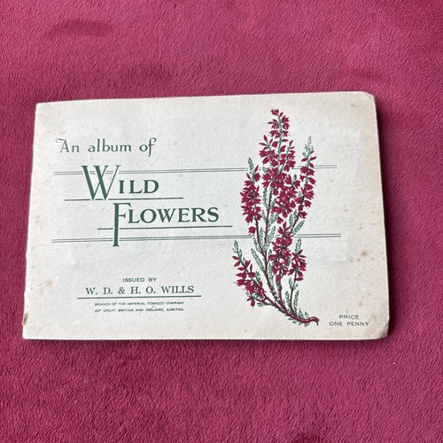 Album wild flowers 1936 - album,