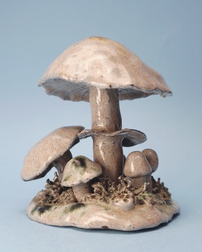 Small mushroom cluster studio - cluster,