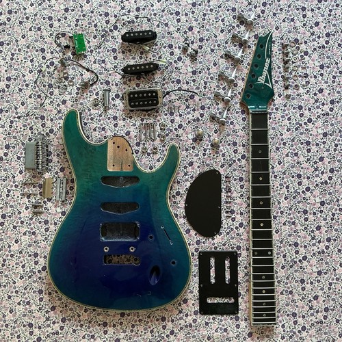 Ibanez type guitar project - type,