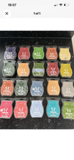 BNIP Scentsy Wax Melts