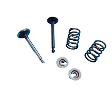 Engine Valve Kit, Inlet & Exhaust, Springs, Retainers Fits Honda GXH50 Engine