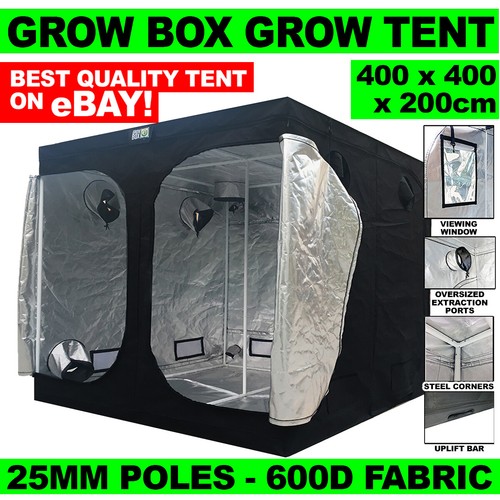 Grow box tent x - box,