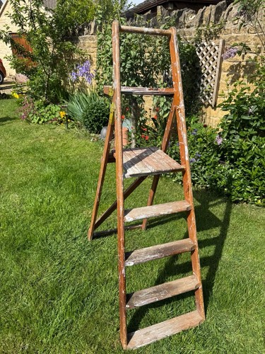Vintage step ladders with - step,
