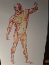 Portfolio of Original